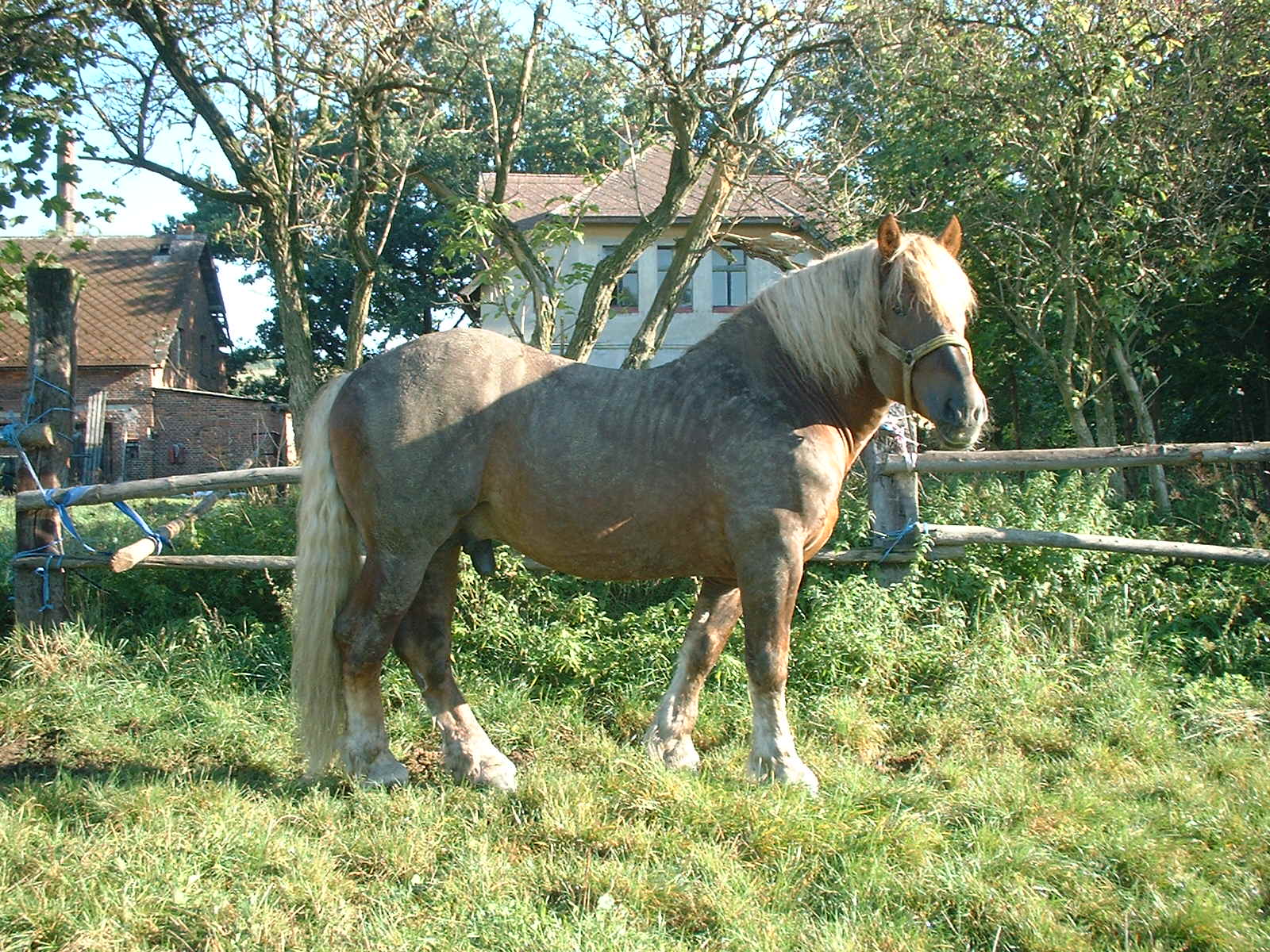 pěkně vyválenej